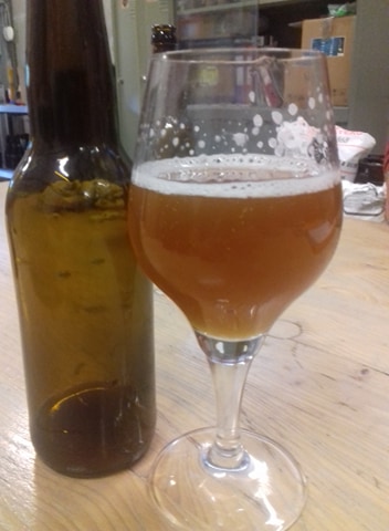 L'Empreinte Belge - La Bière aux panais