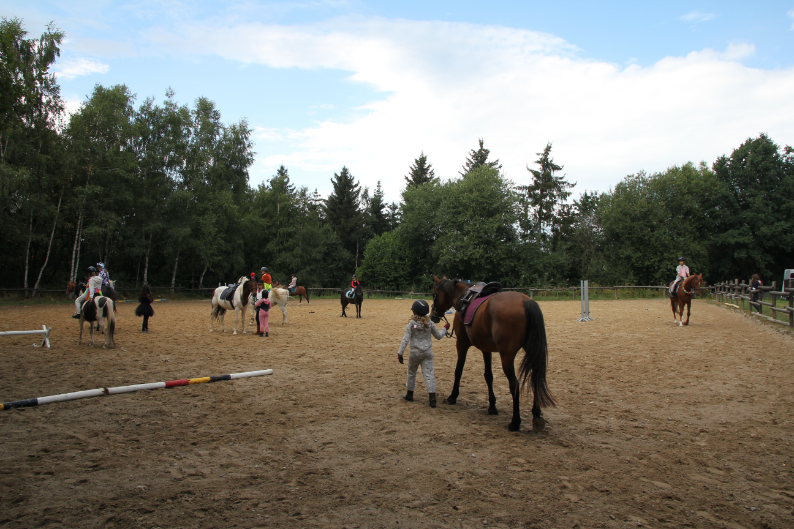 Un poney pour le Cercle Equestre de Waimes