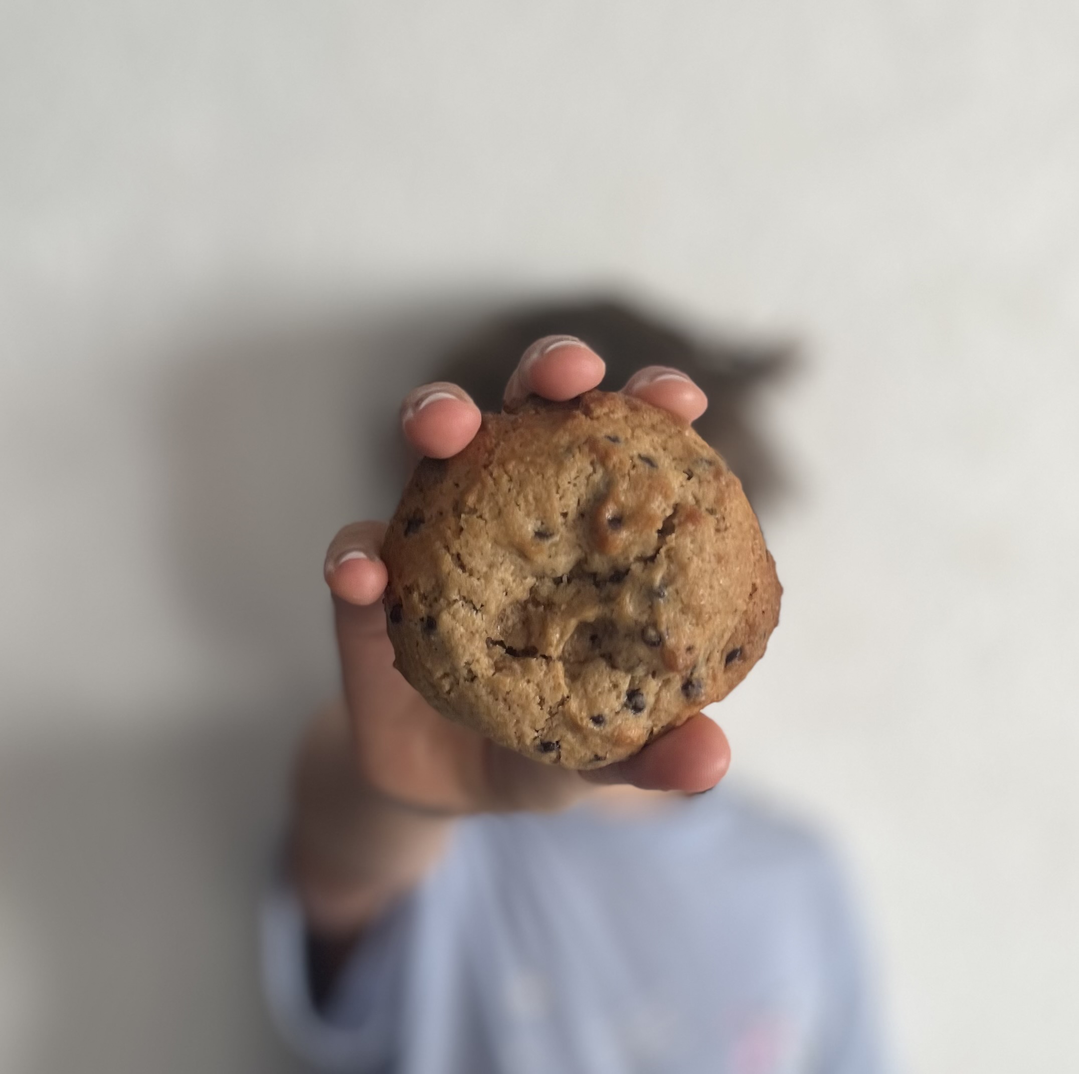 Les Douceurs d’Alissa, biscuits artisanaux et gourmands