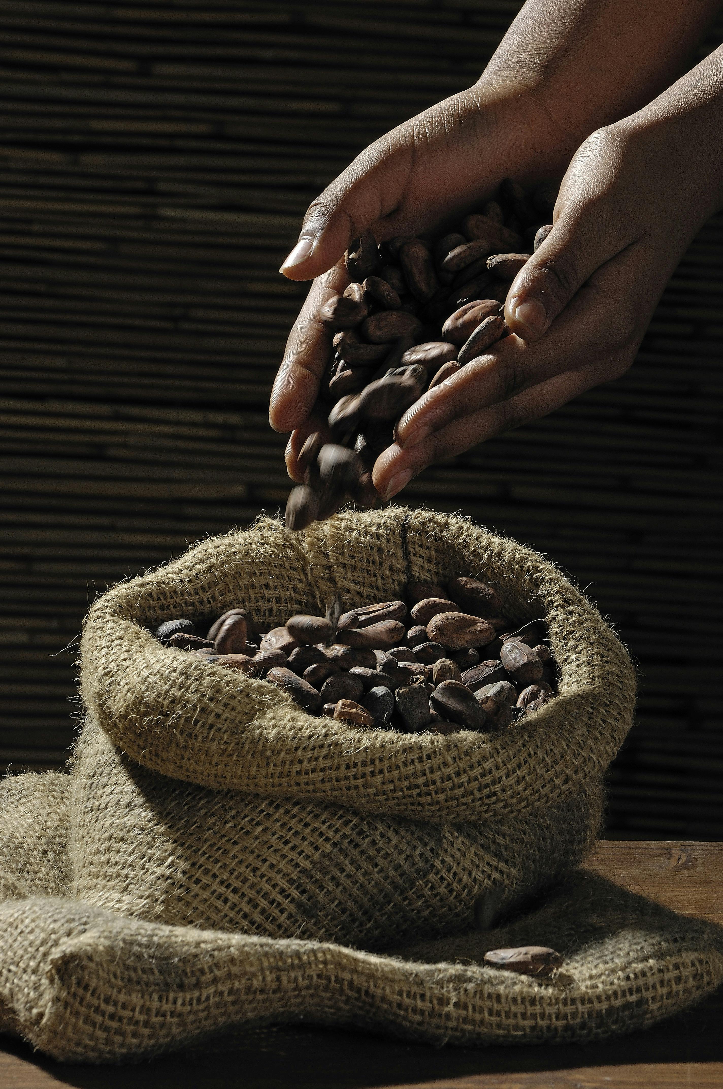 La chocolaterie Carré Noir à Liège ouvre son atelier bean-to-bar