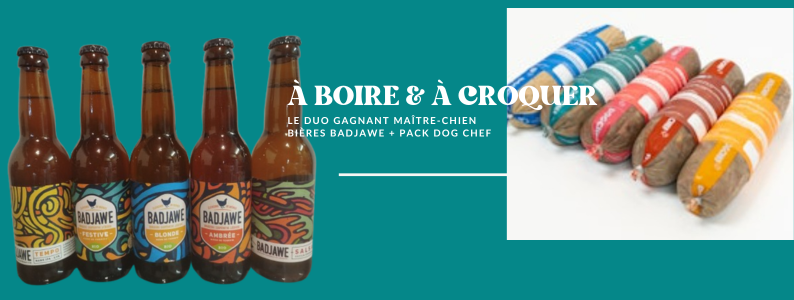 Temps de Chien Liège - Le premier Dog Park couvert de Wallonie !