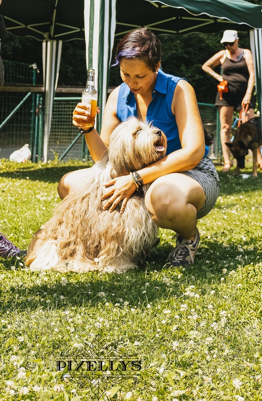 Temps de Chien Liège - Le premier Dog Park couvert de Wallonie !