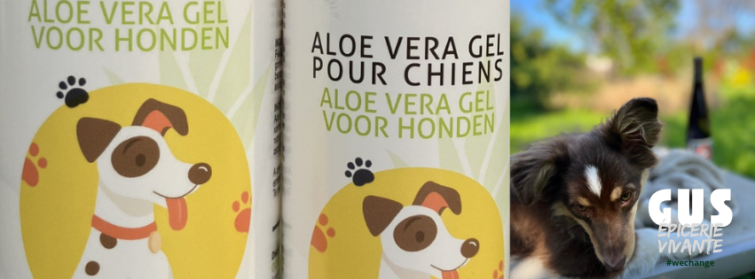 GUS - Épicerie plaisir et solidaire en ligne