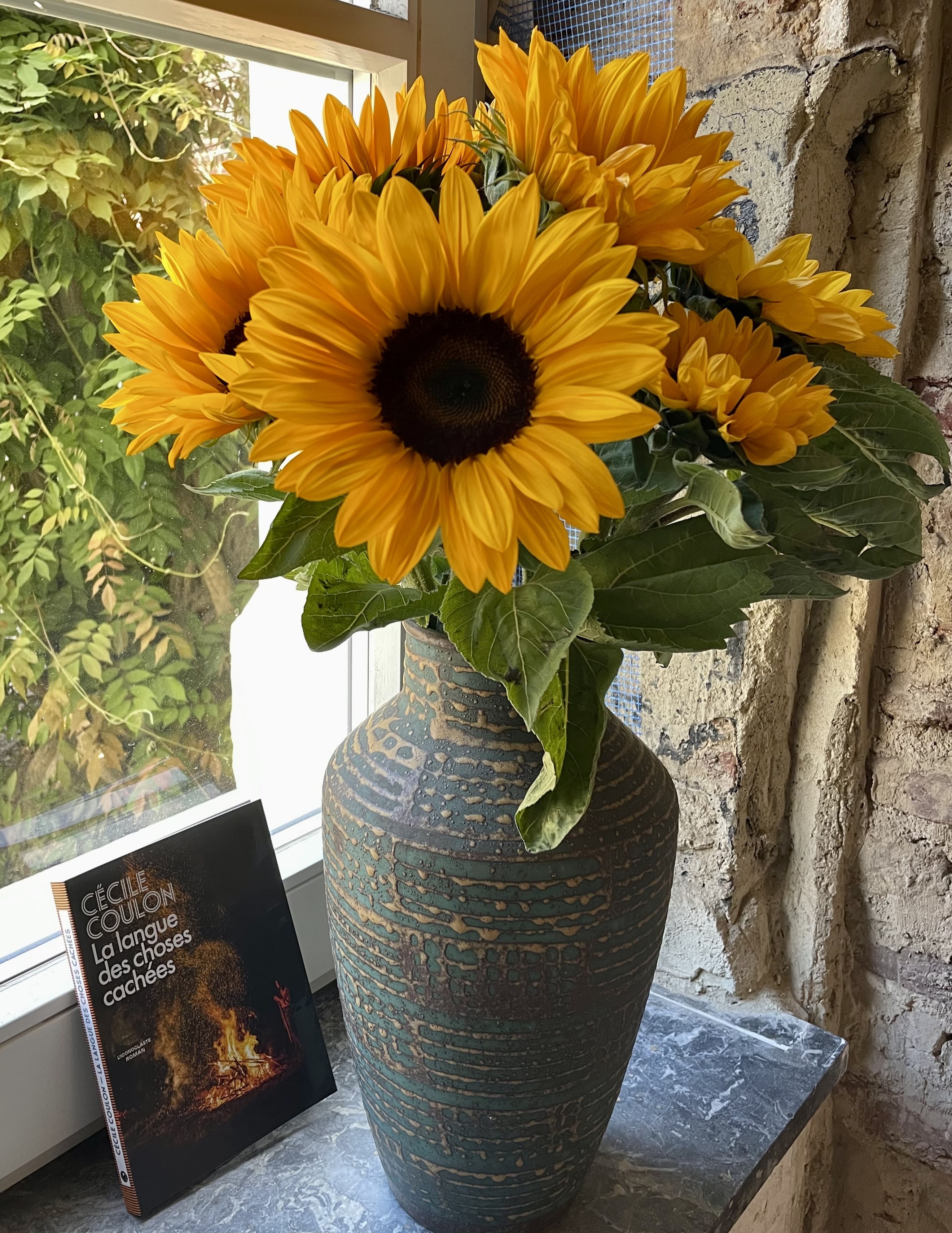 Cé·pages ··· BOIRE un livre, LIRE un vin···