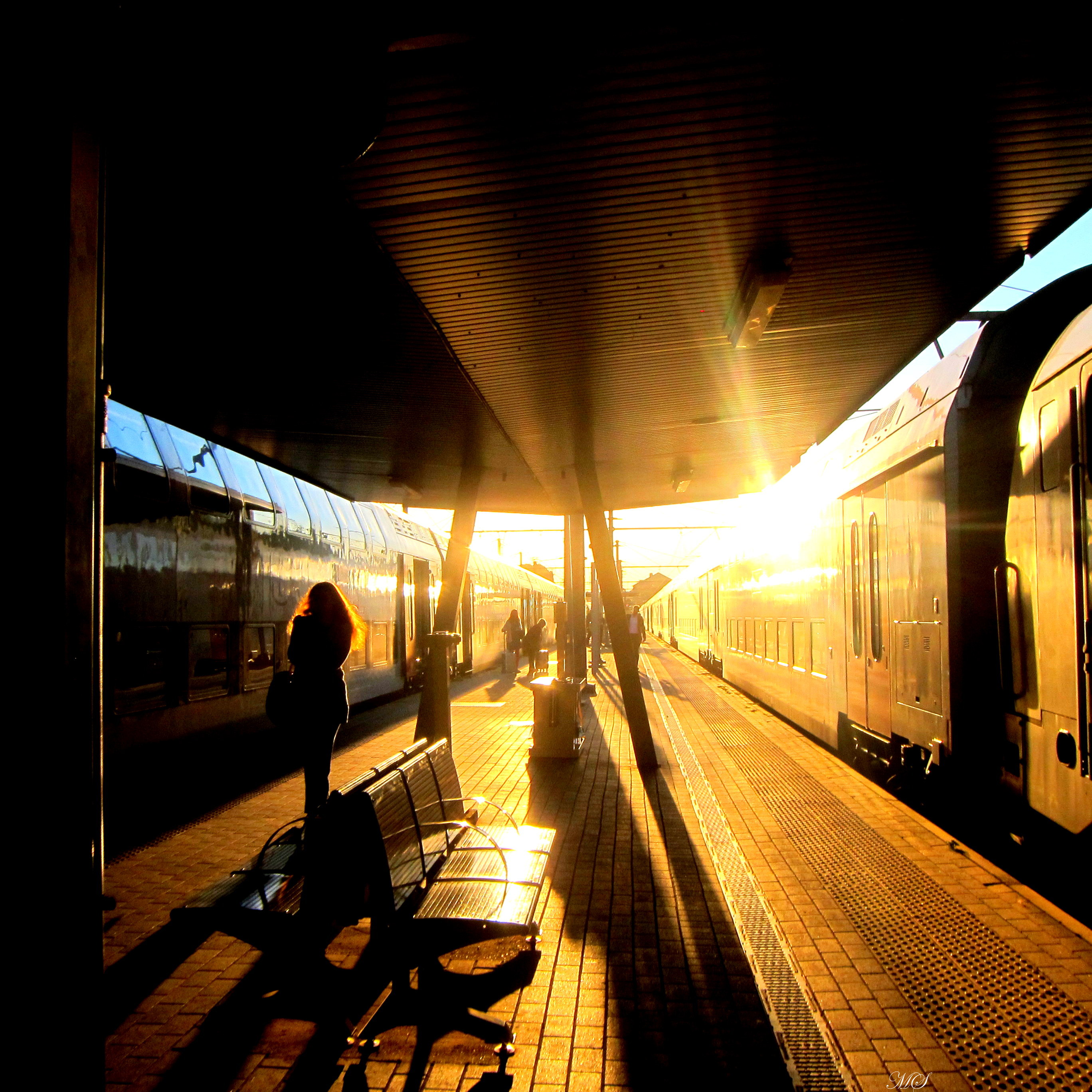 « Sur les Rails », livre d’art photos