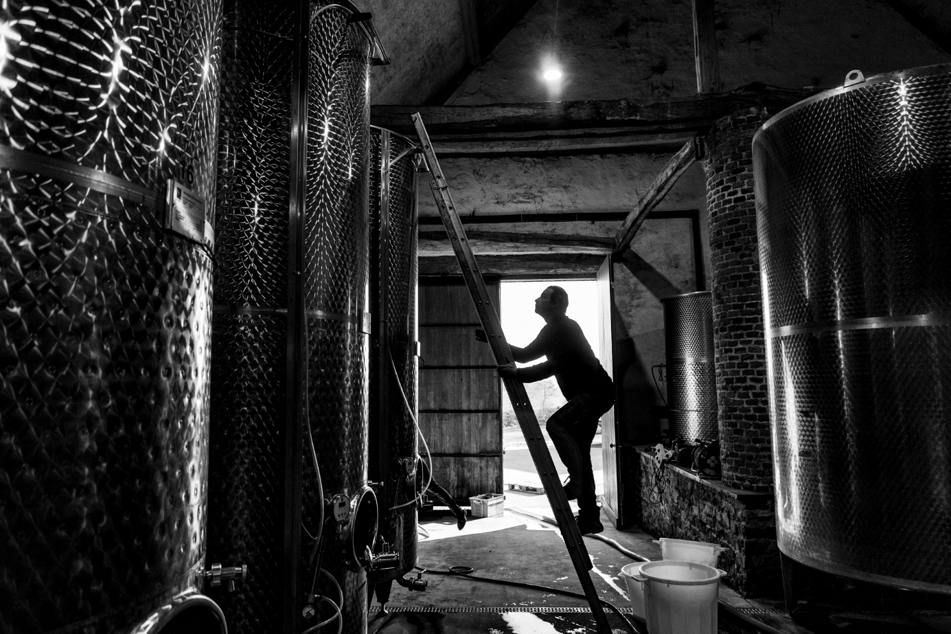Les vignerons, passeurs de sens : un livre d’art photographique
