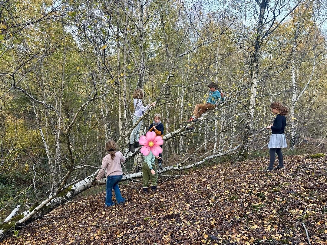 Soutenir l’école privée Les Semeurs de Graines – Pour une éducation vivante