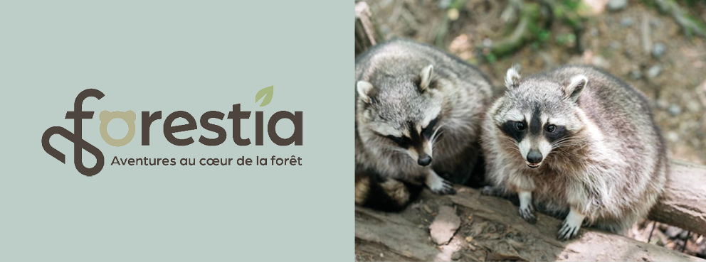 Èt Qwè, boutique de créateurs à Verviers