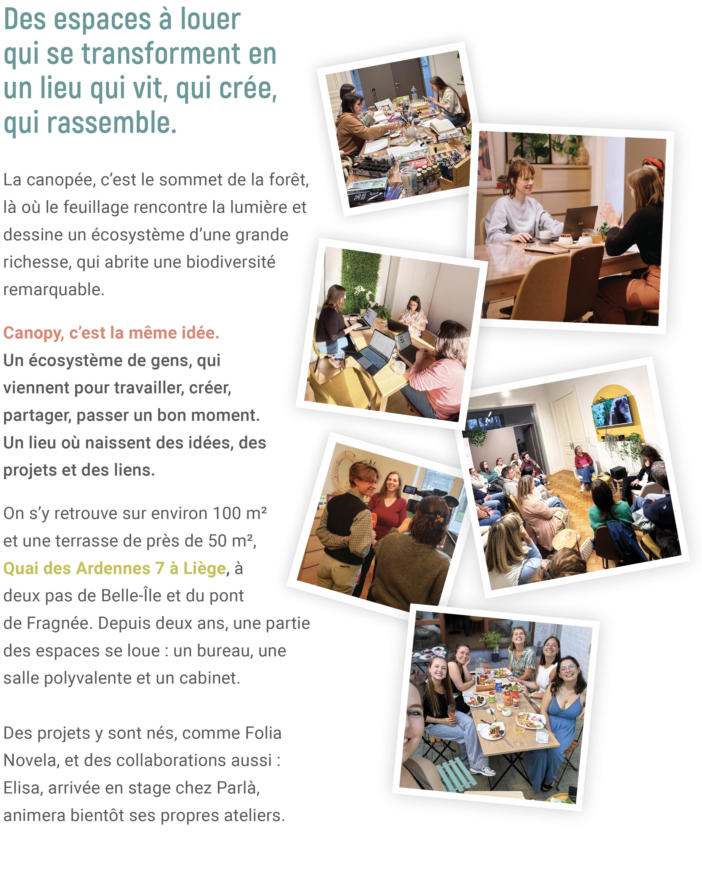Participez à l'évolution de Canopy Workspace en Creative Space